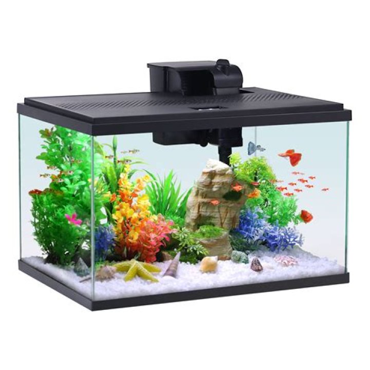 How big of a heater do I need for a 5 gallon fish tank?