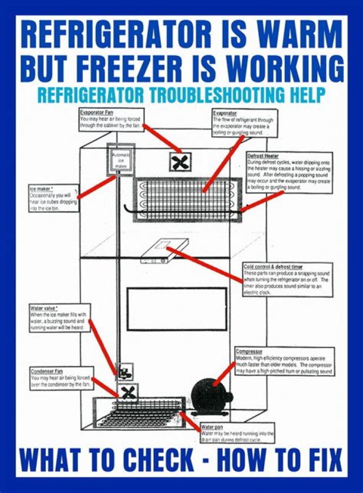 How do I fix my freezer but my fridge is not working?