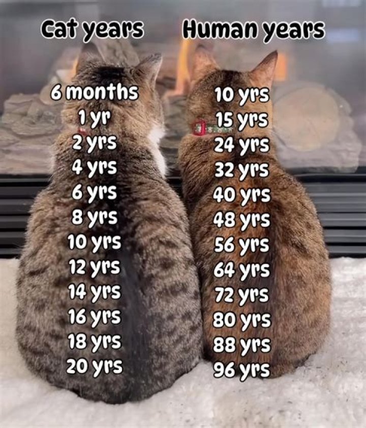 How many years is refrigerator warranty?
