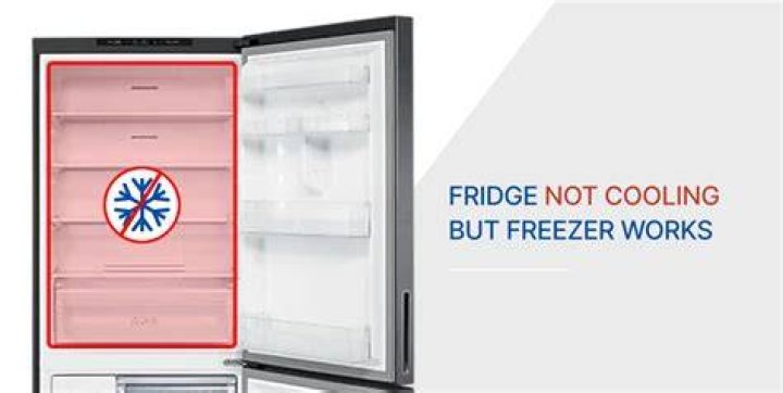 What are the reasons for fridge not cooling?