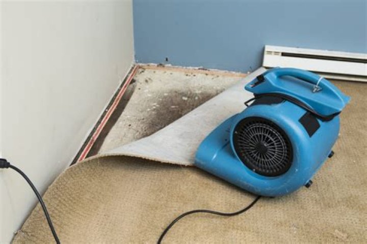 What can you use to clean wet carpet?