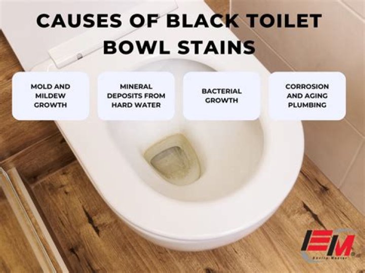 What causes black buildup in toilet?