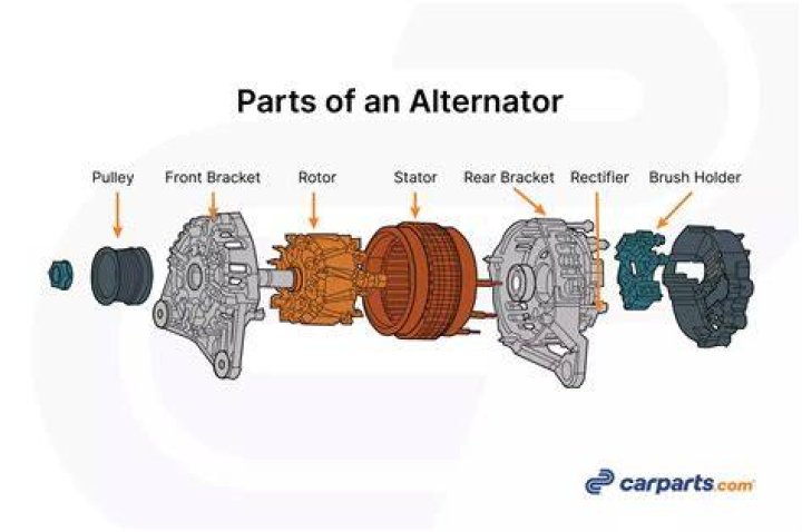 What is the belt that goes around the alternator?