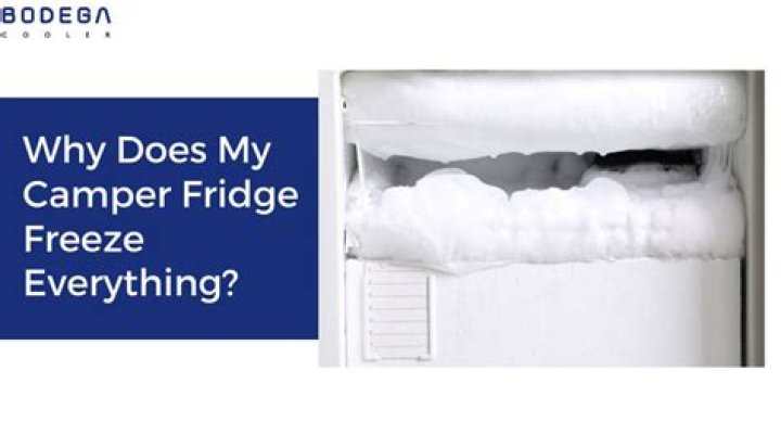 Why does my camper refrigerator freeze everything?
