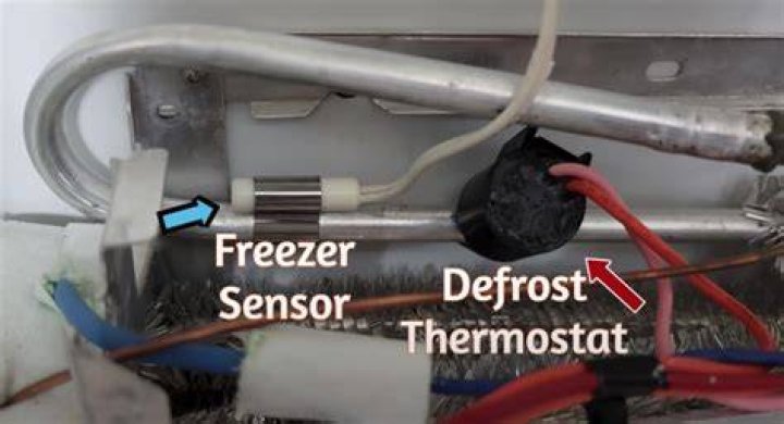 Why is the light in the freezer not working?