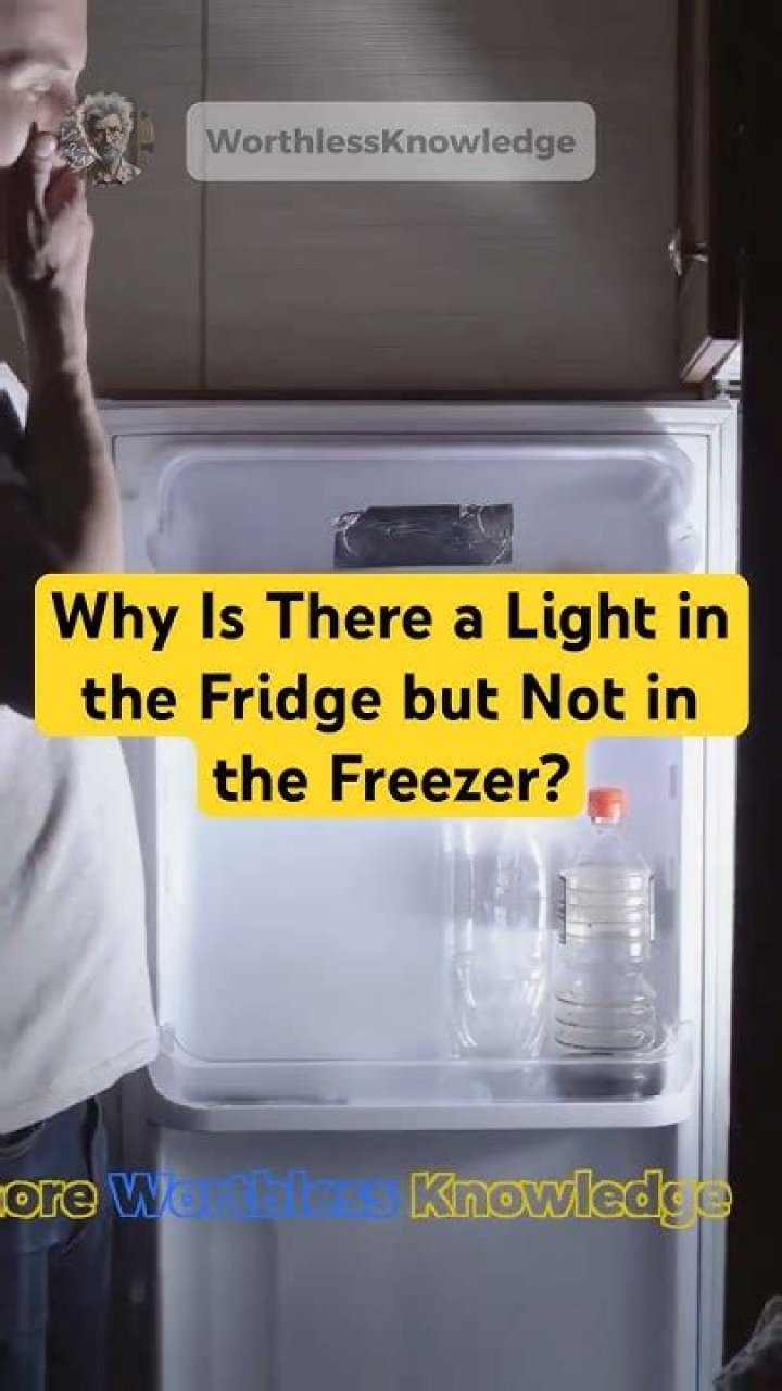 Why is there a light in the fridge but not freezer?